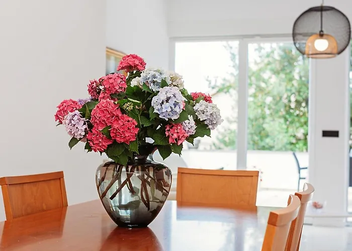 Апартаменты Ana *